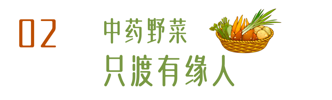 在春日的菜摊中,还有一种野菜,丽水人叫"苦益菜",菜如其名,虽苦却有益