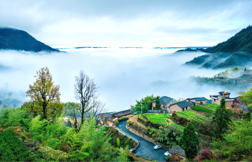 91公里,起于峡口门,终于金竹镇,是连接县城与湖山,金竹区域的重要县道