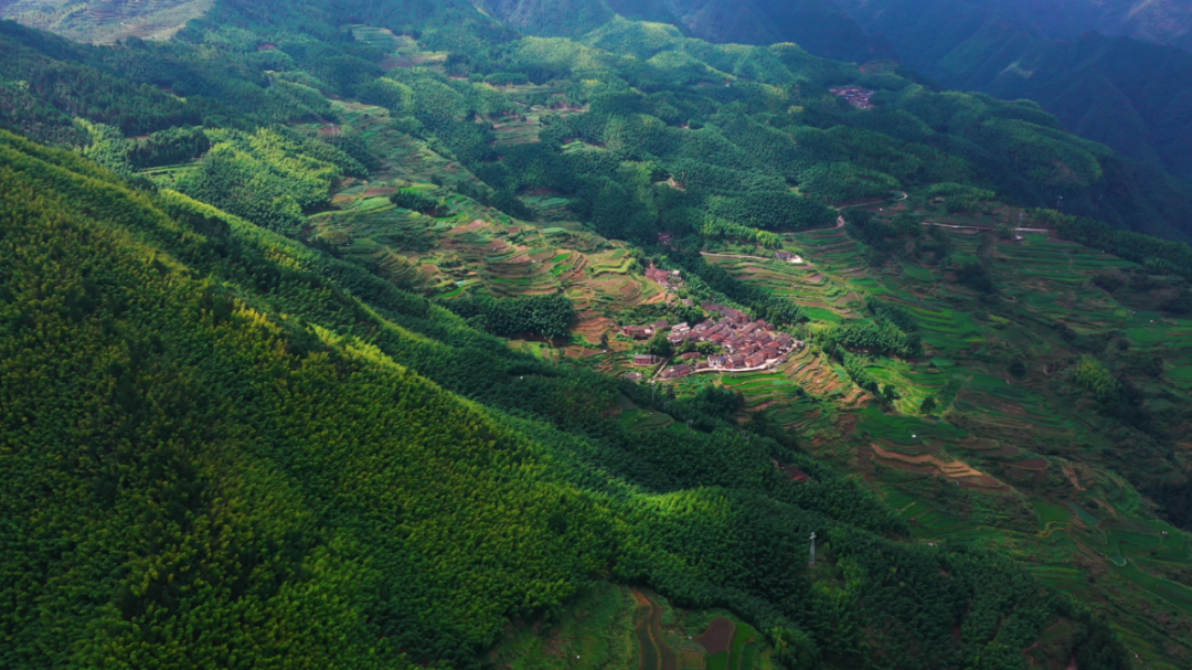 寻一间竹亭,煮一壶清茶,慢斟细酌,清幽的绿茶抚解一缕忧愁.