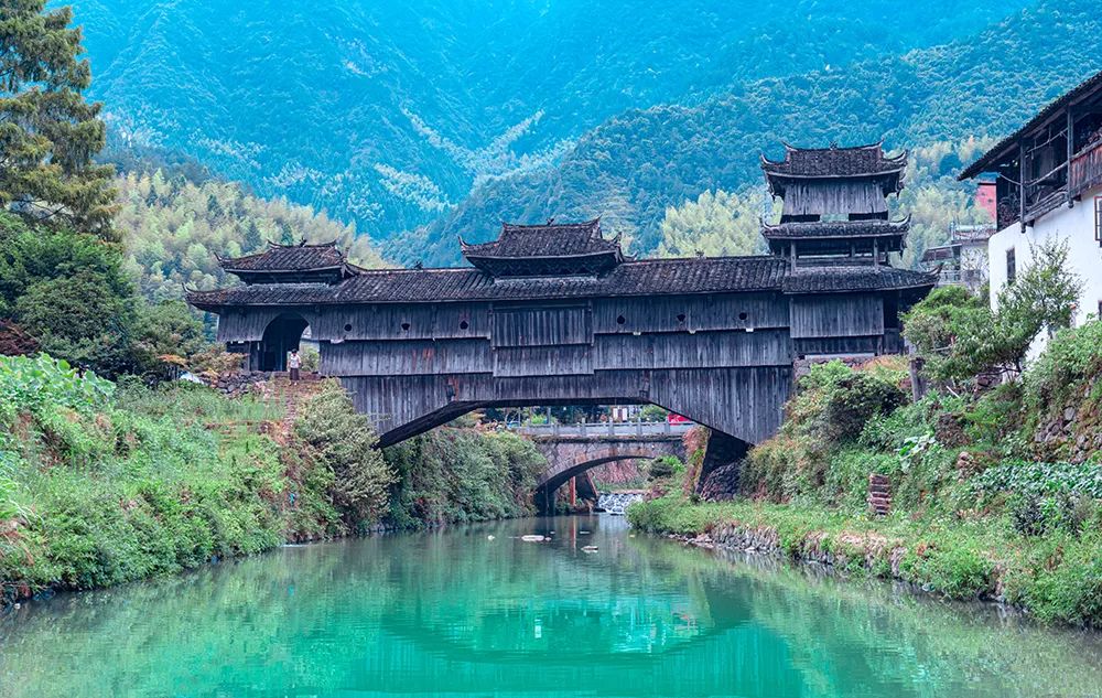 庆元这个偏远乡正奋力往近郊赶