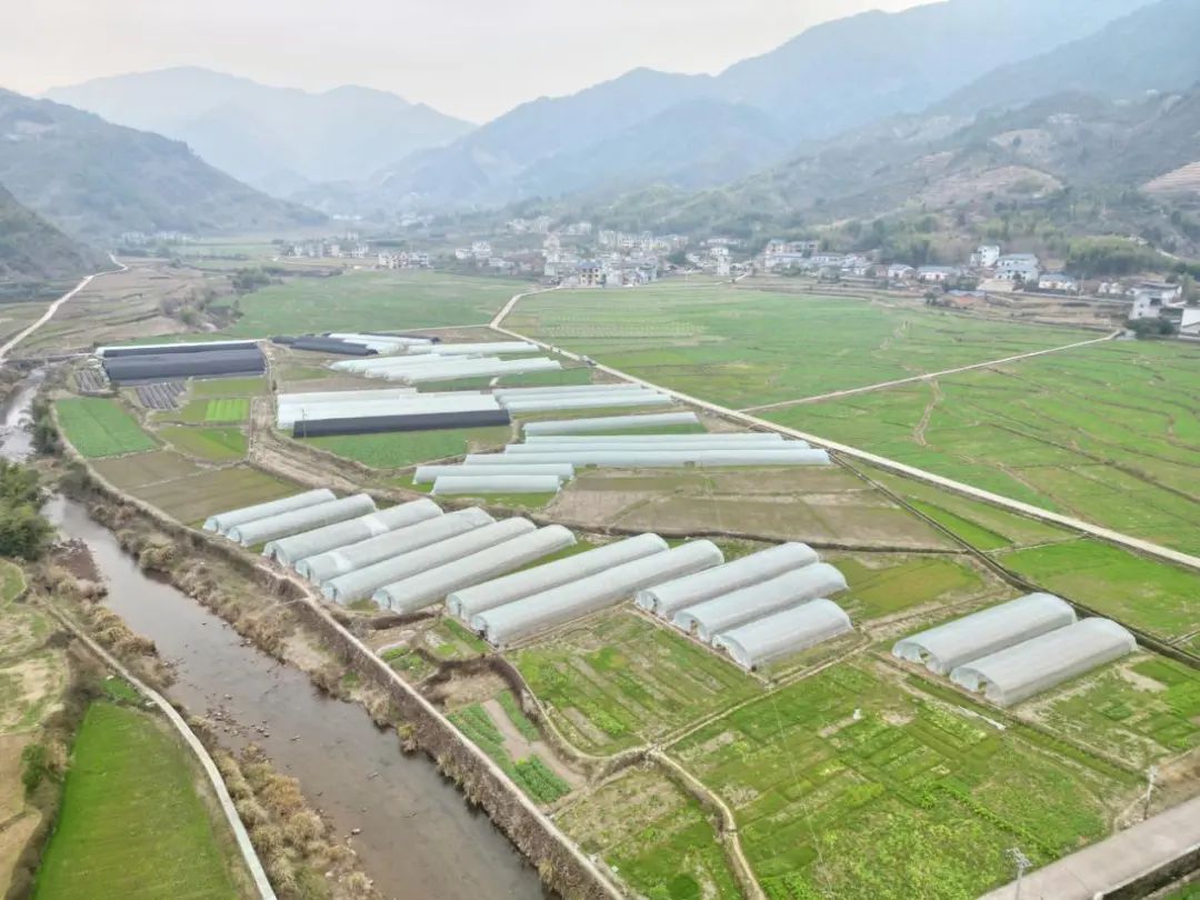 遂昌:希望田野"芯"图景