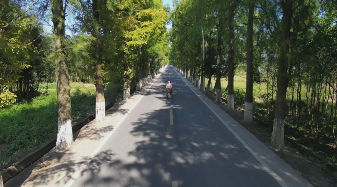2024丽马比赛线路丨来跟着记者的镜头先跑为敬吧