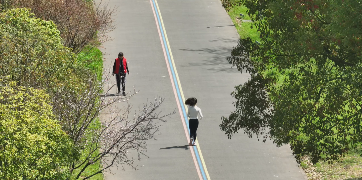 2024丽马比赛线路丨来跟着记者的镜头先跑为敬吧