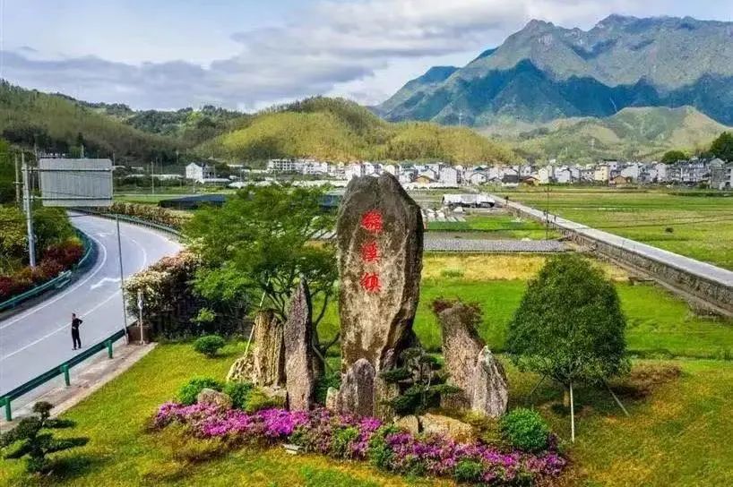 共同富裕新征程丨秀洲奶牛抵龙新一轮托管代养合作开启