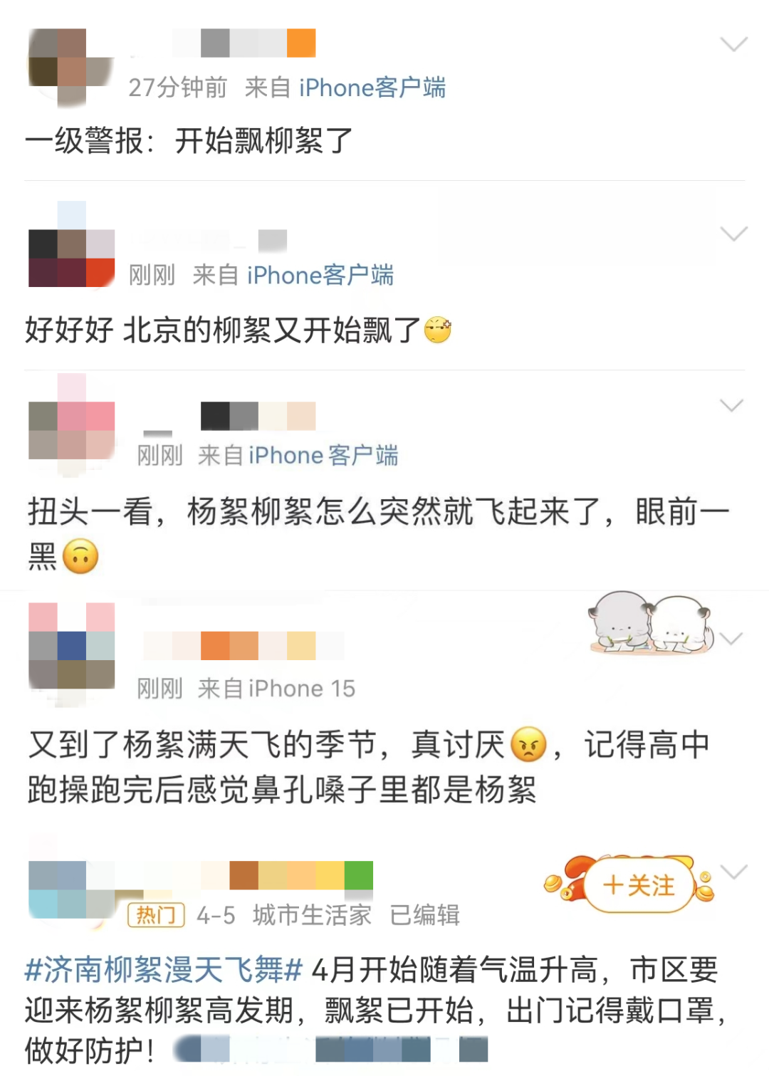 松阳人近期出门注意ta来了