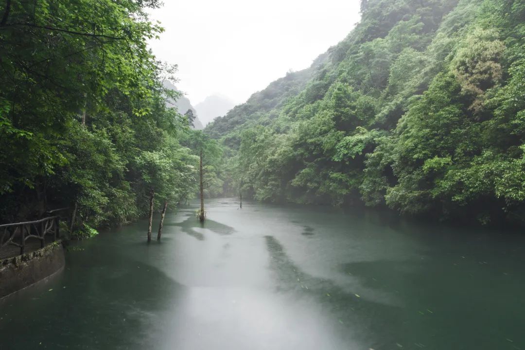 首页>/时政>据介绍,千佛山观鸟胜地位于遂昌县石练镇千佛山景区,为