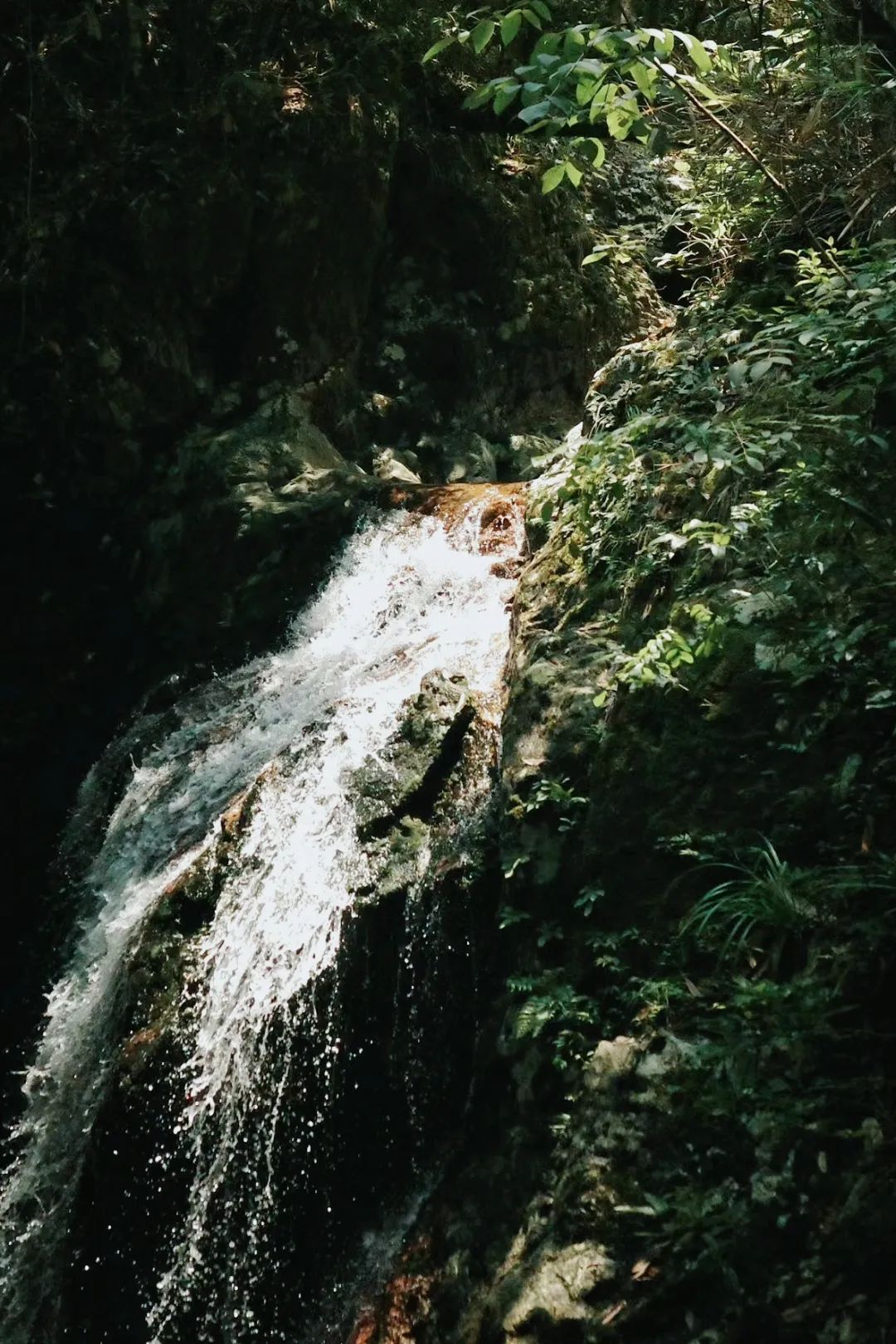 有丰富的娱乐设施:星空咖啡屋,网红天梯,帐篷营地,森林餐厅,时光慢寄