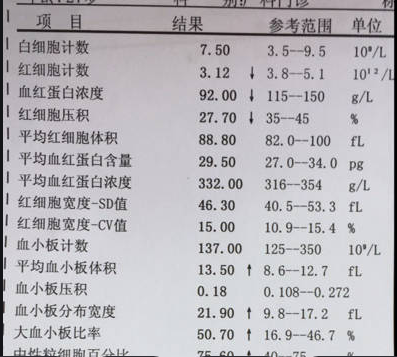 慢性贫血找不到原因?可能是它在作怪