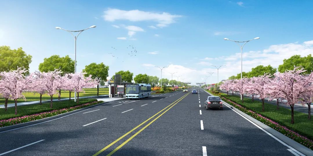 双向四车道!松阳这条公路已全线铺开作业面