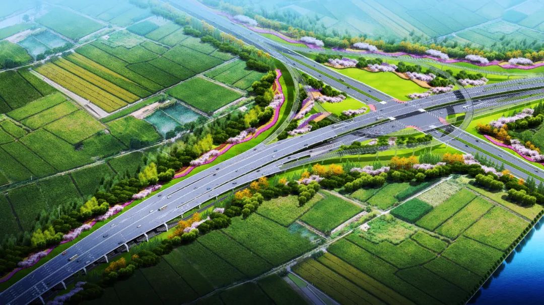 衢丽铁路,青文高速…好消息传来:有最新进展了