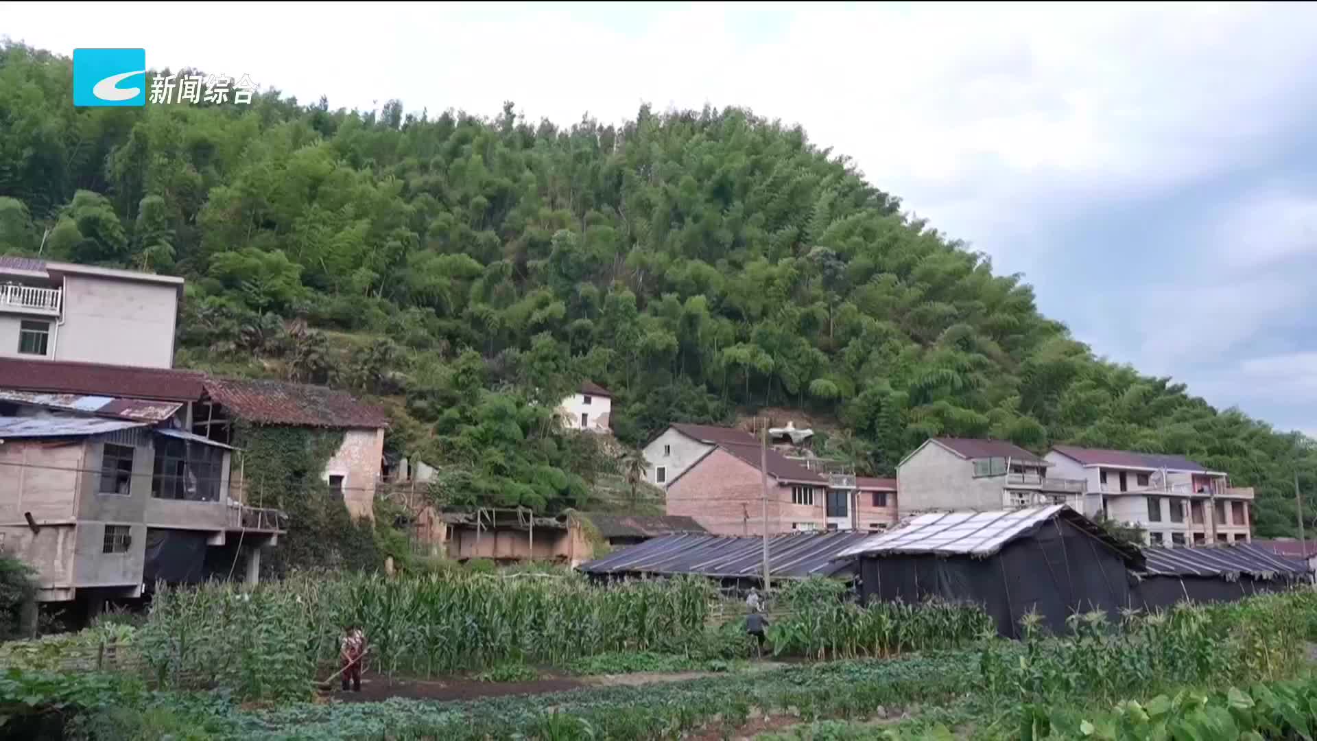 丽水今日新闻要览丨8月5日 星期一